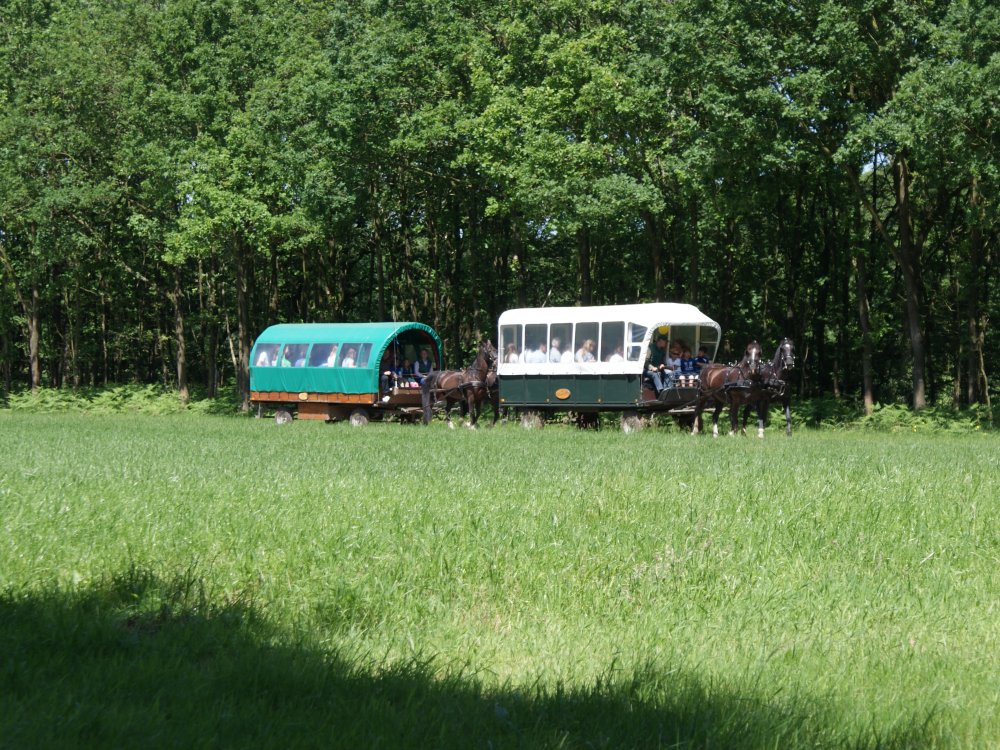 paarden-groepsarrangement-ermelo