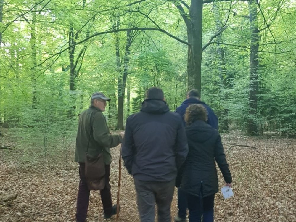 Bossen-natuur-ermelo